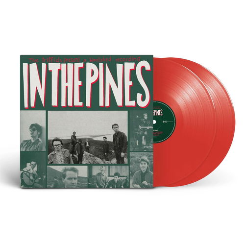 The Triffids - In The Pines (Red Vinyl) - 2LP (LP)