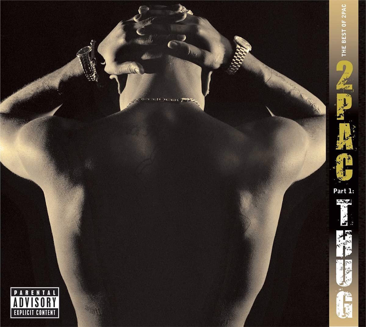 2Pac - The Best Of 2Pac - Part 1: Thug - 2LP (LP)