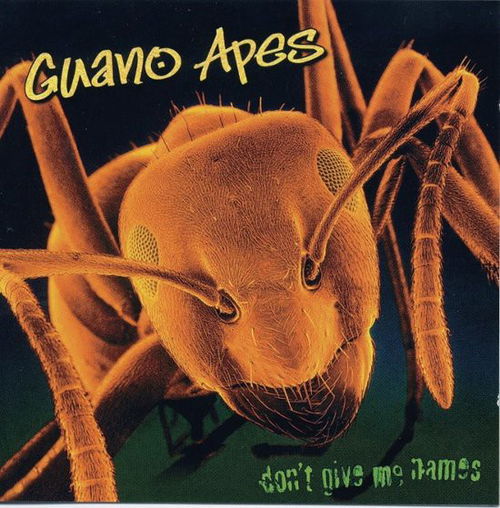 Guano Apes - Don't Give Me Names (LP)