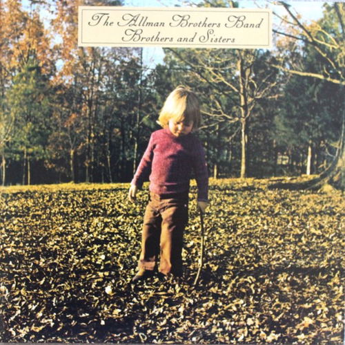 The Allman Brothers Band - Brothers And Sisters (LP)