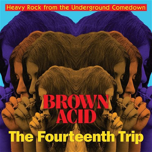 Various - Brown Acid: The Fourteenth Trip (LP)