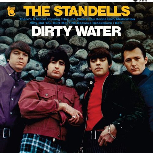 The Standells - Dirty Water (Gold Vinyl) (LP)