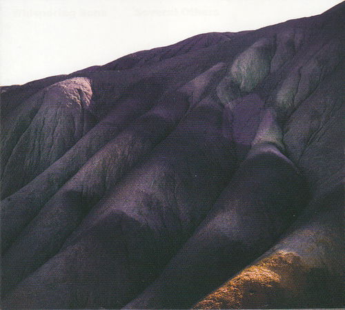 Whispering Sons - Several Others (CD)