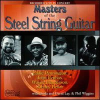Various - Masters Of The Steel String Guitar (CD)